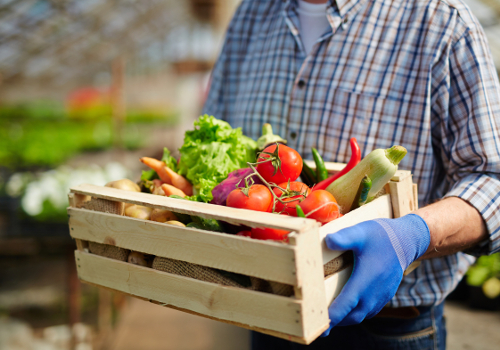 Akademie Fresenius Conference Pesticide Residues in Food