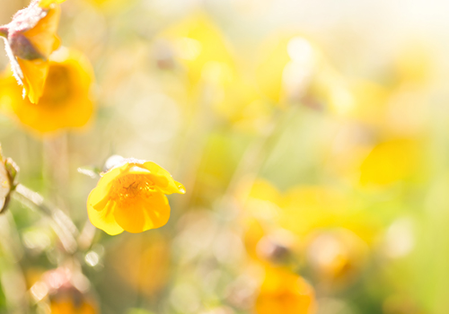 Akademie Fresenius Sommer-Akademie Seminare