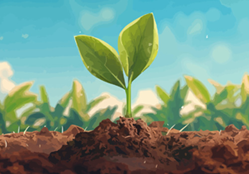 Fertilisers and Plant Biostimulants under the Fertilising Products Regulation Akademie Fresenius Training: Fertilisers and Plant Biostimulants under the Fertilising Products Regulation